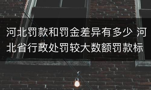 河北罚款和罚金差异有多少 河北省行政处罚较大数额罚款标准