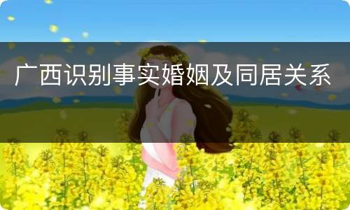 广西识别事实婚姻及同居关系