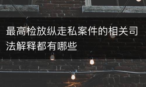 最高检放纵走私案件的相关司法解释都有哪些