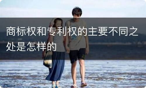 商标权和专利权的主要不同之处是怎样的