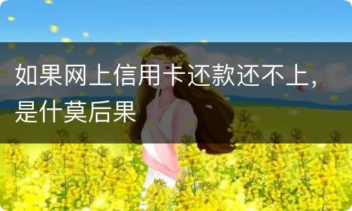 如果网上信用卡还款还不上，是什莫后果