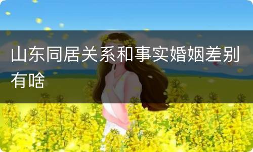 山东同居关系和事实婚姻差别有啥