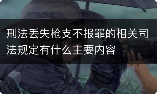 刑法丢失枪支不报罪的相关司法规定有什么主要内容