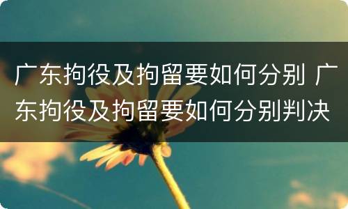 广东拘役及拘留要如何分别 广东拘役及拘留要如何分别判决