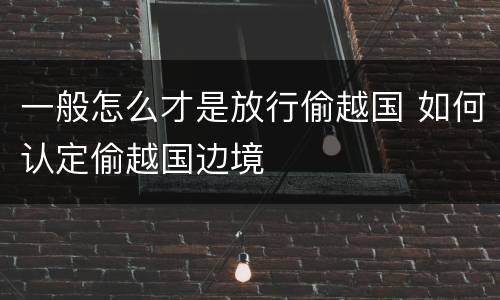 一般怎么才是放行偷越国 如何认定偷越国边境