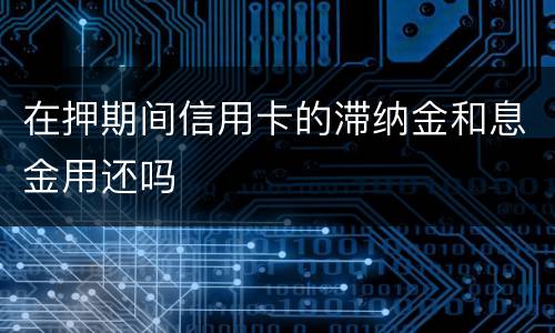 在押期间信用卡的滞纳金和息金用还吗