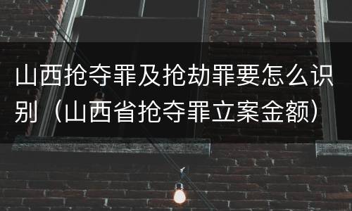 山西抢夺罪及抢劫罪要怎么识别（山西省抢夺罪立案金额）