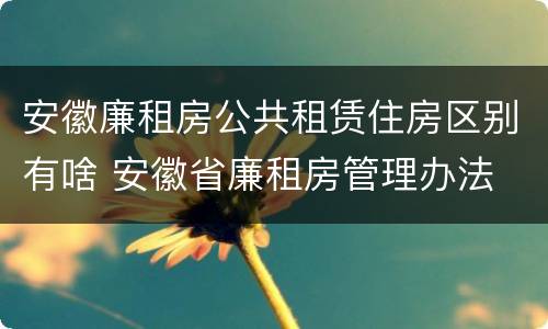 安徽廉租房公共租赁住房区别有啥 安徽省廉租房管理办法