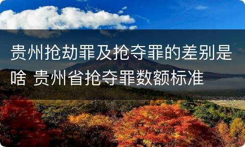 贵州抢劫罪及抢夺罪的差别是啥 贵州省抢夺罪数额标准