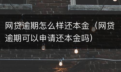 网贷逾期怎么样还本金（网贷逾期可以申请还本金吗）