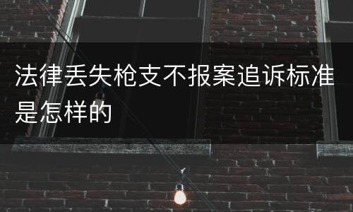 法律丢失枪支不报案追诉标准是怎样的