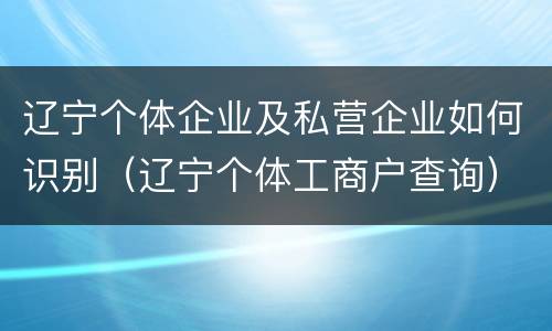 辽宁个体企业及私营企业如何识别（辽宁个体工商户查询）