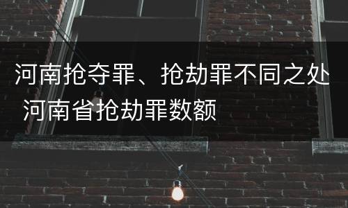 河南抢夺罪、抢劫罪不同之处 河南省抢劫罪数额