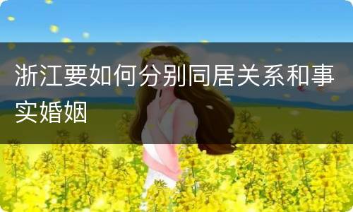 浙江要如何分别同居关系和事实婚姻