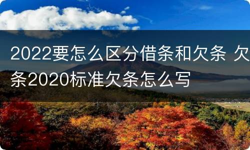 2022要怎么区分借条和欠条 欠条2020标准欠条怎么写