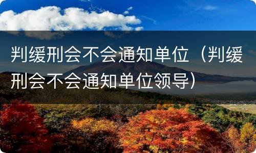 判缓刑会不会通知单位（判缓刑会不会通知单位领导）