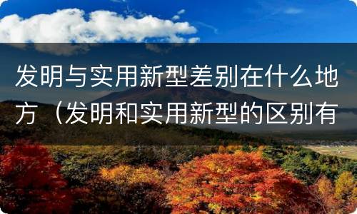 发明与实用新型差别在什么地方（发明和实用新型的区别有）