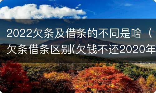 2022欠条及借条的不同是啥（欠条借条区别(欠钱不还2020年新规 - 法律之家）