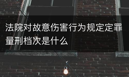 法院对故意伤害行为规定定罪量刑档次是什么