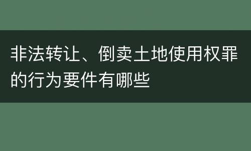 非法转让、倒卖土地使用权罪的行为要件有哪些