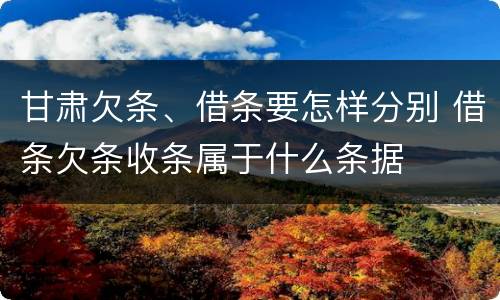 甘肃欠条、借条要怎样分别 借条欠条收条属于什么条据