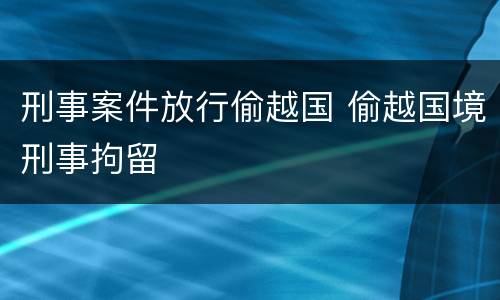 刑事案件放行偷越国 偷越国境刑事拘留