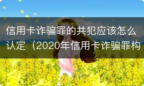 信用卡诈骗罪的共犯应该怎么认定（2020年信用卡诈骗罪构成要件）