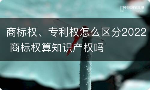 商标权、专利权怎么区分2022 商标权算知识产权吗