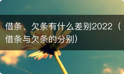 借条、欠条有什么差别2022（借条与欠条的分别）