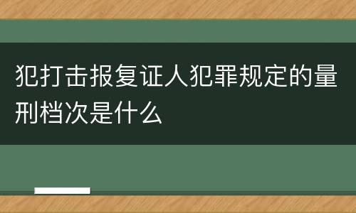 犯打击报复证人犯罪规定的量刑档次是什么