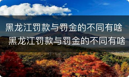 黑龙江罚款与罚金的不同有啥 黑龙江罚款与罚金的不同有啥区别