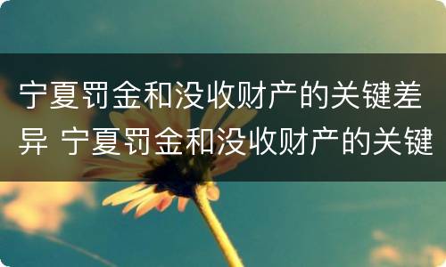 宁夏罚金和没收财产的关键差异 宁夏罚金和没收财产的关键差异有哪些