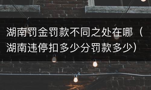 湖南罚金罚款不同之处在哪（湖南违停扣多少分罚款多少）