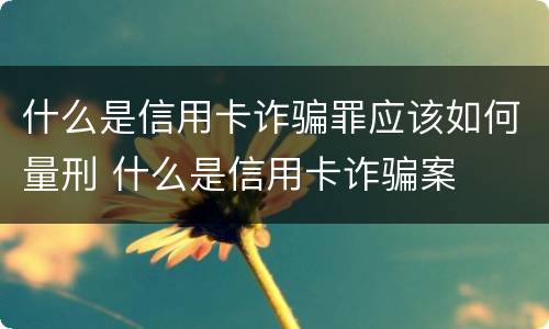 什么是信用卡诈骗罪应该如何量刑 什么是信用卡诈骗案