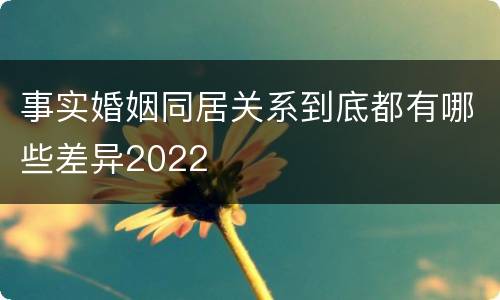 事实婚姻同居关系到底都有哪些差异2022