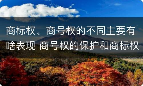 商标权、商号权的不同主要有啥表现 商号权的保护和商标权的保护一样是全国性范围的