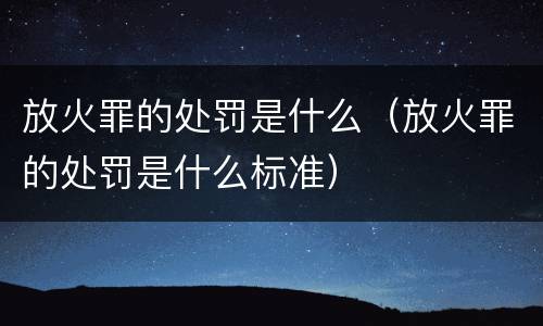 放火罪的处罚是什么（放火罪的处罚是什么标准）