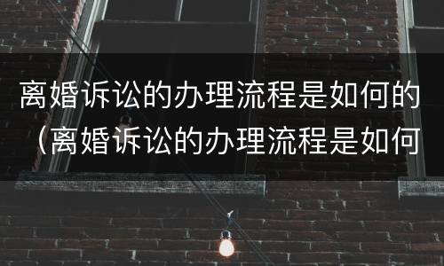 离婚诉讼的办理流程是如何的（离婚诉讼的办理流程是如何的呢）