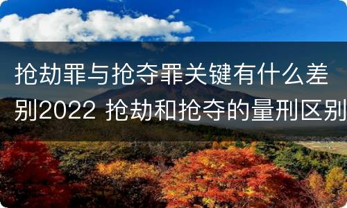 抢劫罪与抢夺罪关键有什么差别2022 抢劫和抢夺的量刑区别