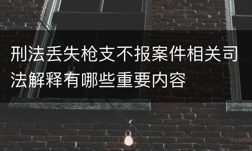 刑法丢失枪支不报案件相关司法解释有哪些重要内容