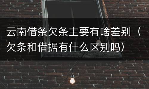 云南借条欠条主要有啥差别（欠条和借据有什么区别吗）