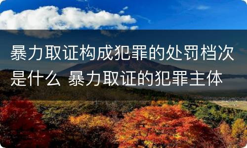 暴力取证构成犯罪的处罚档次是什么 暴力取证的犯罪主体