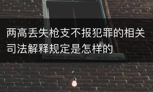 两高丢失枪支不报犯罪的相关司法解释规定是怎样的