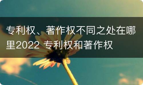 专利权、著作权不同之处在哪里2022 专利权和著作权