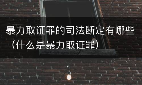 暴力取证罪的司法断定有哪些（什么是暴力取证罪）