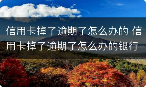 信用卡掉了逾期了怎么办的 信用卡掉了逾期了怎么办的银行卡