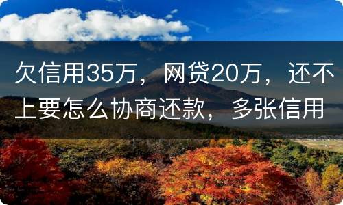 欠信用35万，网贷20万，还不上要怎么协商还款，多张信用卡