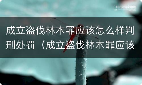 成立盗伐林木罪应该怎么样判刑处罚（成立盗伐林木罪应该怎么样判刑处罚）