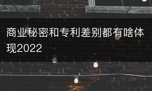 商业秘密和专利差别都有啥体现2022