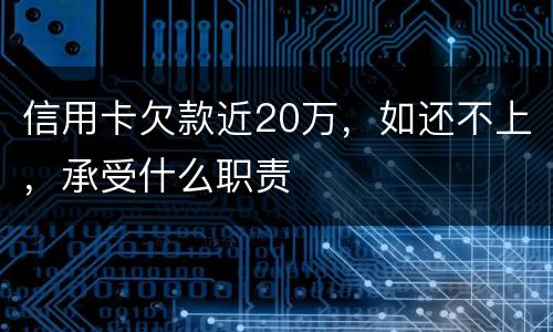 信用卡欠款近20万，如还不上，承受什么职责